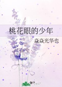 《桃花眼的少年》