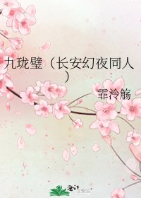 九珑璧（长安幻夜同人）