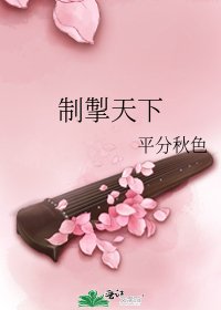 《制掣天下》