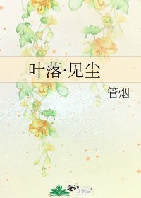 《叶落·见尘》