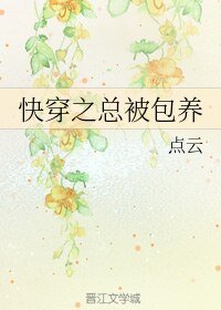 《快穿之总被包 养》