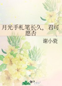 《月光手札笔长久,君可愿否》