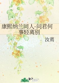 康熙纳兰同人-问君何事轻离别