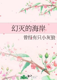 《幻灭的海岸》