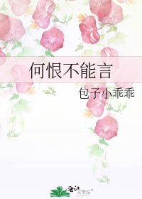 《何恨不能言》