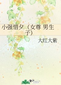 《小强惜夕(女尊 男生子)》