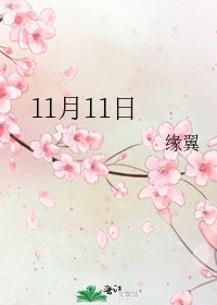 11月11日