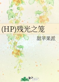 《(HP)残光之笼》