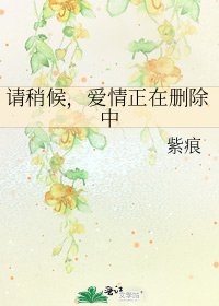 《请稍候,爱情正在删除中》