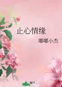 《止心情缘》