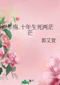 《流年殇.十年生死两茫茫》