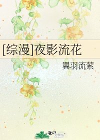 [综漫]夜影流花