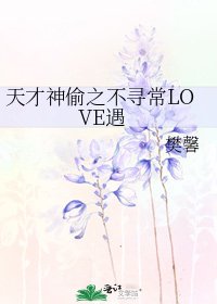 《天才神偷之不寻常LOVE遇》
