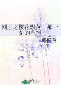 《网王之樱花飘落,那一刻的永恒》