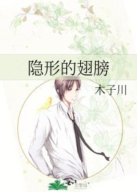 《隐形的翅膀》
