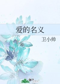 《爱的名义》
