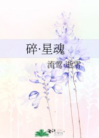 《碎·星魂》