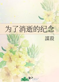 《为了消逝的纪念》