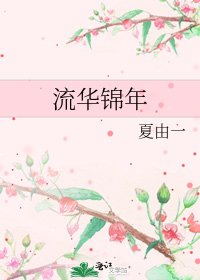 《流华锦年》