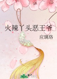《火辣丫头恶王爷》
