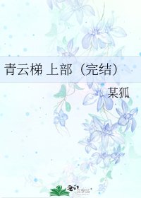 《青云梯 上部()》