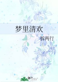 《梦里清欢》