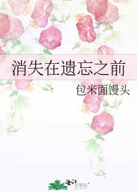 《消失在遗忘之前》