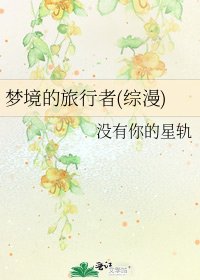 《梦境的旅行者(综漫)》