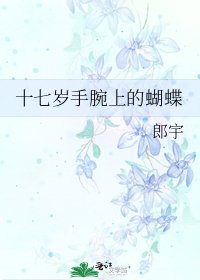 《十七岁手腕上的蝴蝶》
