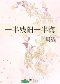 《一半残阳一半海》
