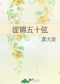 《涩锦五十弦》