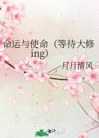《命运与使命(等待大修ing)》