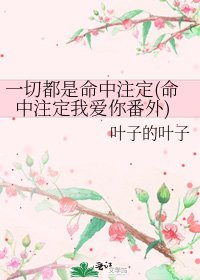 《一切都是命中注定(命中注定我爱你番外)》