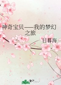 《神奇宝贝——我的梦幻之旅》