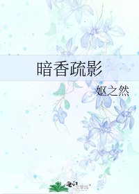 《暗香疏影》