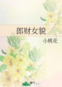 《郎财女貌》