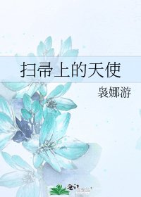 《扫帚上的天使》
