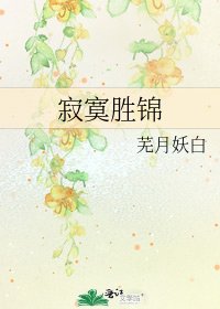 《寂寞胜锦》