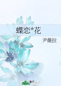 《蝶恋*花》