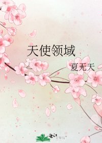 《天使领域》