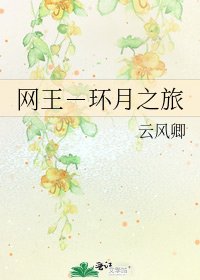 《网王-环月之旅》