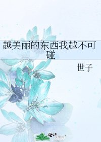 《越美丽的东西我越不可碰》