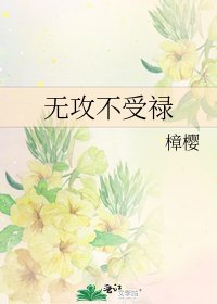 《无攻不受禄》