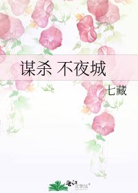 《谋杀 不夜城》