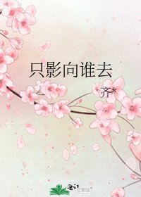 《只影向谁去》