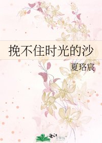 《挽不住时光的沙》
