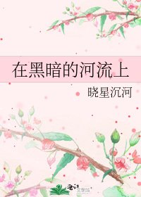 《在黑暗的河流上》