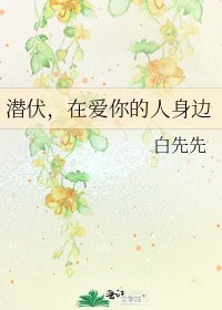 《潜伏,在爱你的人身边》