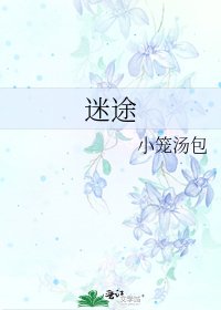 《迷途》