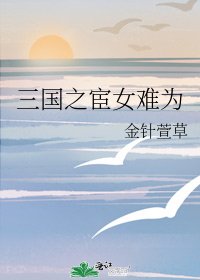 《三国之宦女难为》